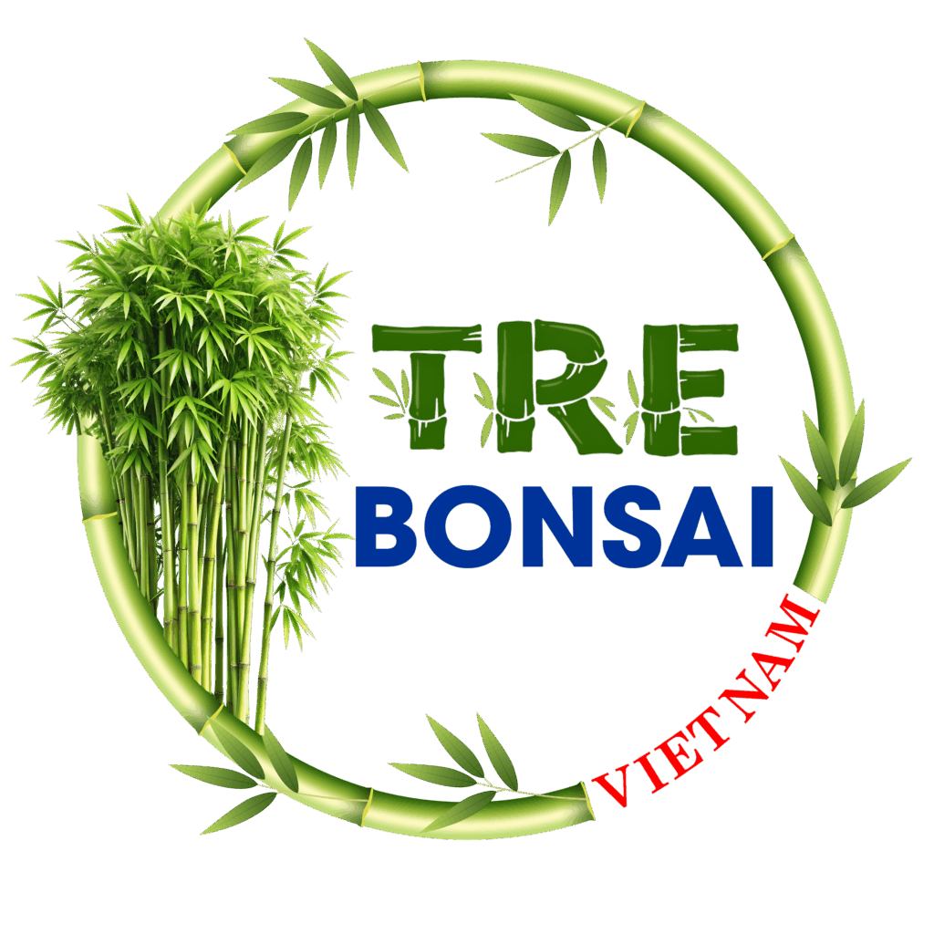 Tre BonSai